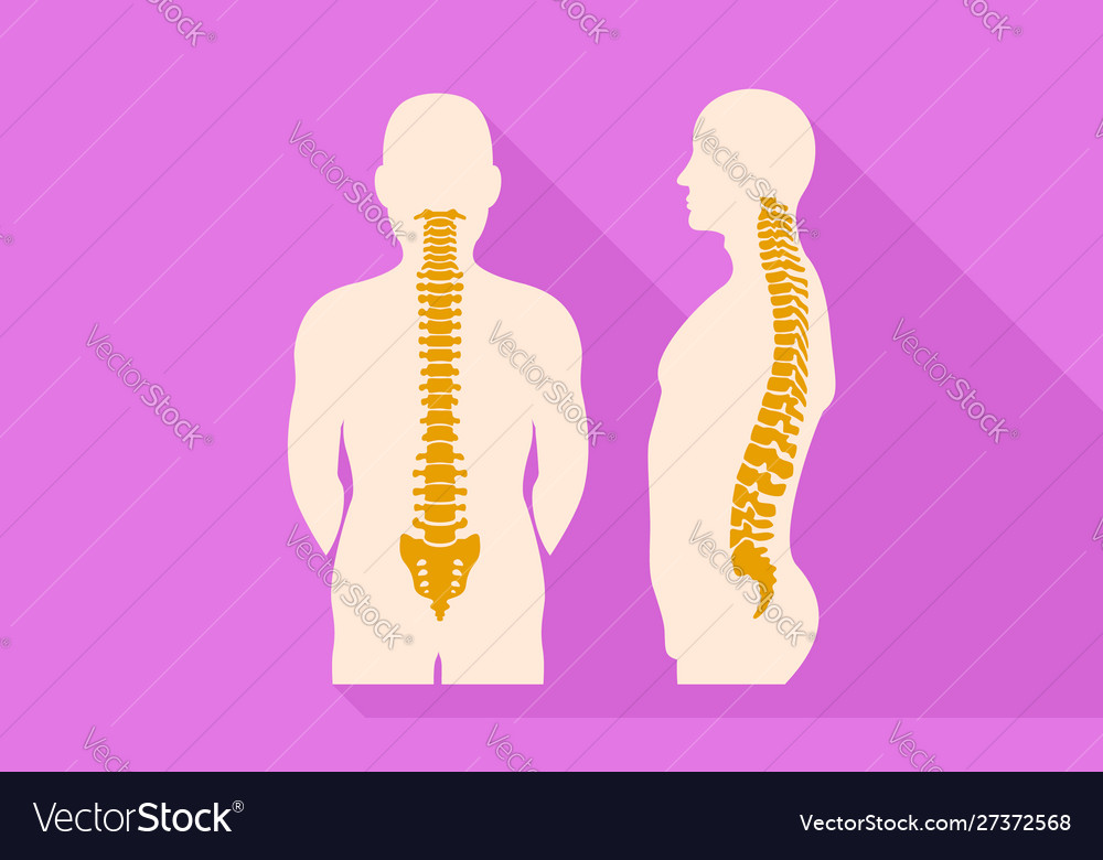 Human spine icon flat style Royalty Free Vector Image