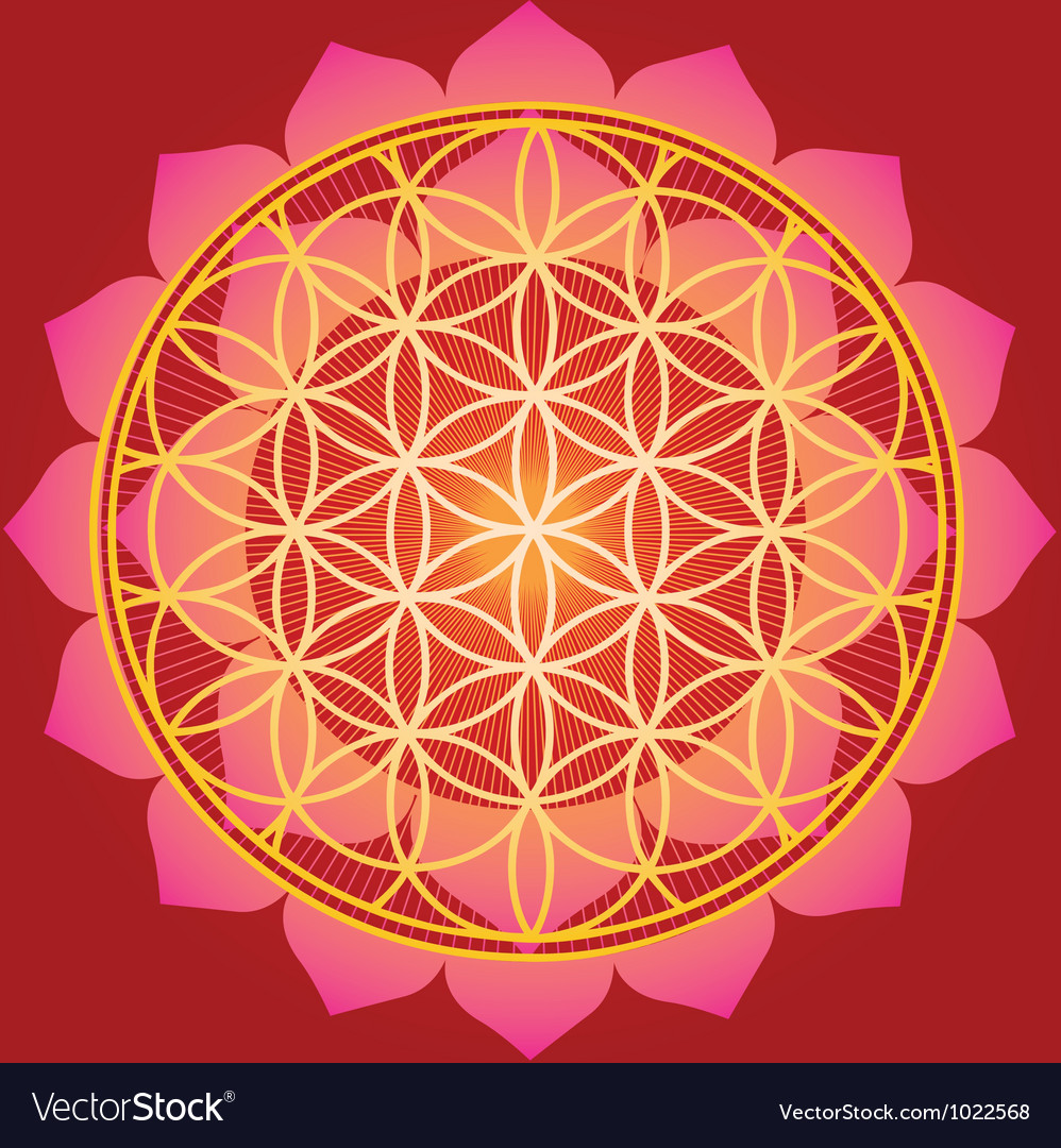 flower of life sacred geometry