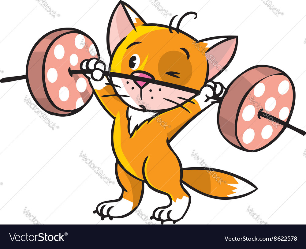 Kitten-athlete lifts the bar Royalty Free Vector Image