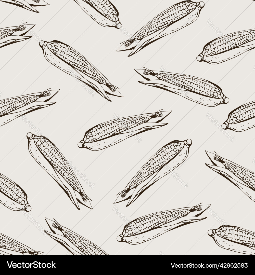 Sweet corn seamless pattern with fresh ripe Vector Image