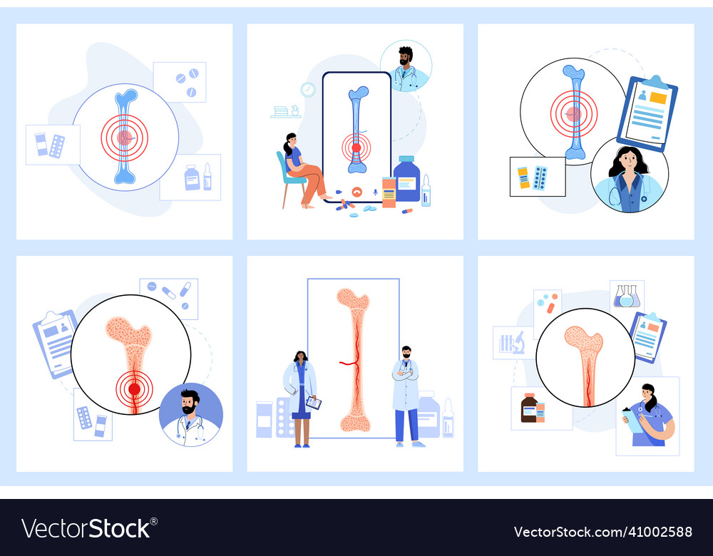 Bone marrow set Royalty Free Vector Image - VectorStock