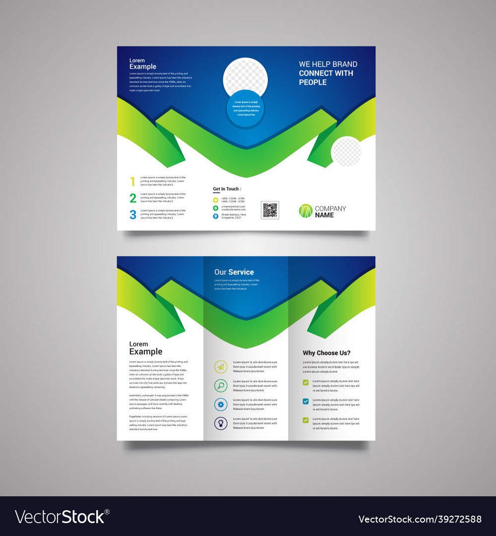 Business trifold brochure design template Vector Image