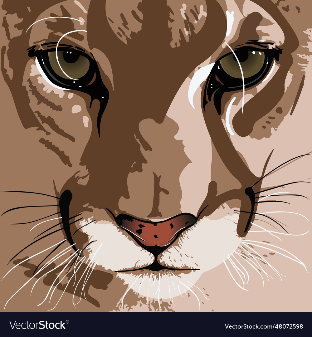 A Mountan Lion Royalty Free Vector Image VectorStock A Mountan Lion Royalty Free Vector Image VectorStock