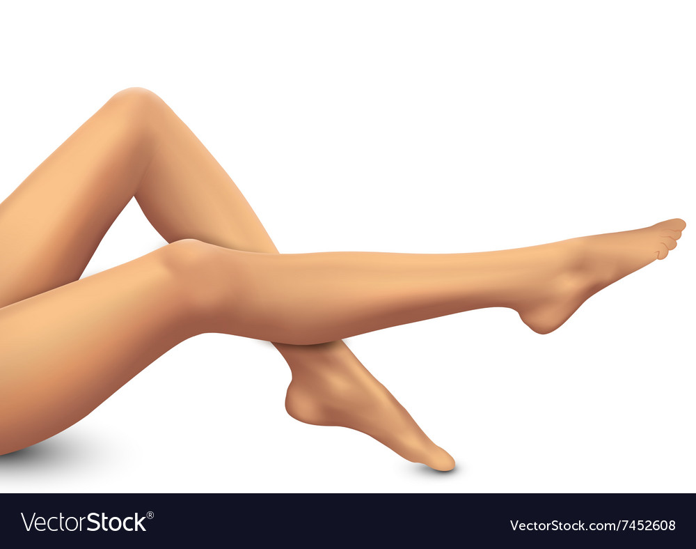 Beautiful women legs on white background Vector Image