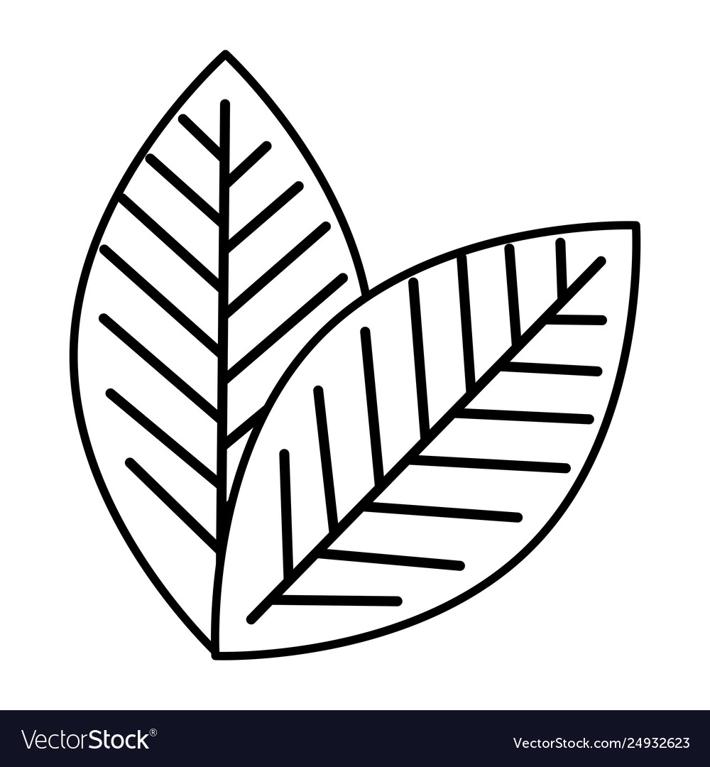 Leaf single decorative icon Royalty Free Vector Image