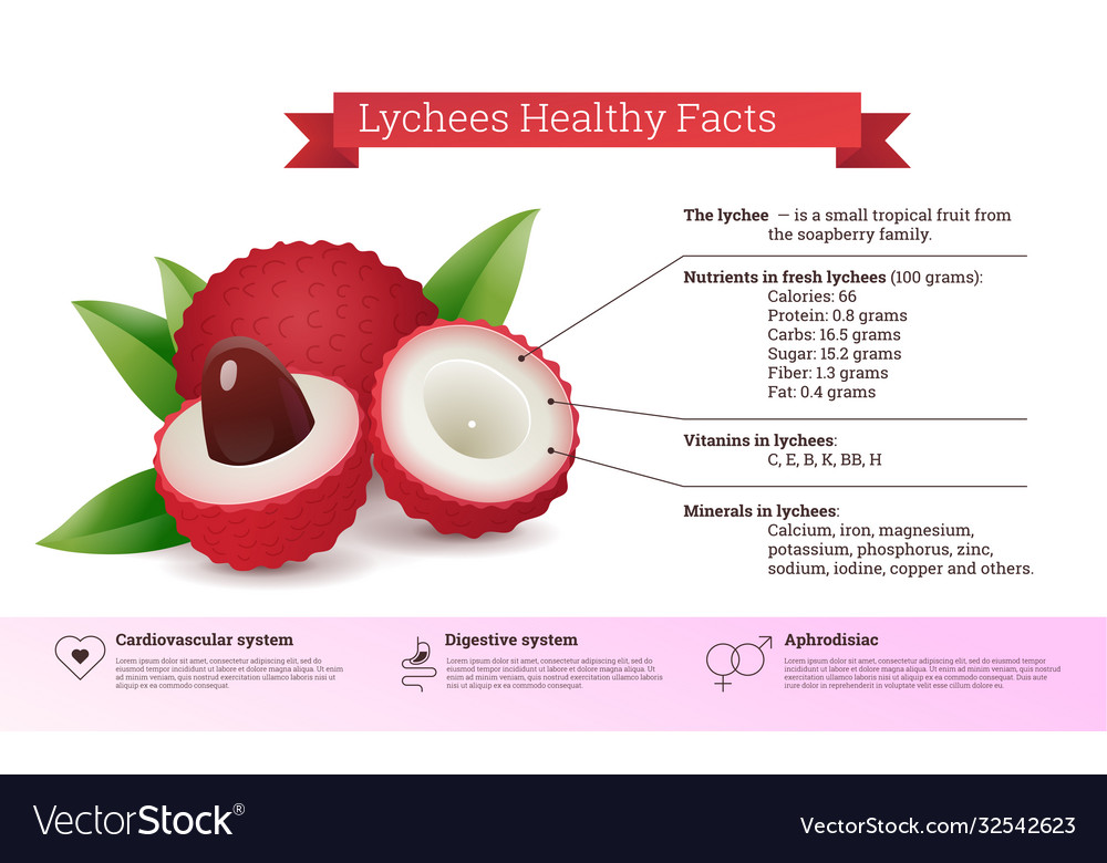 Lychees Healthy Facts Nutritional Information Vector Image 3527