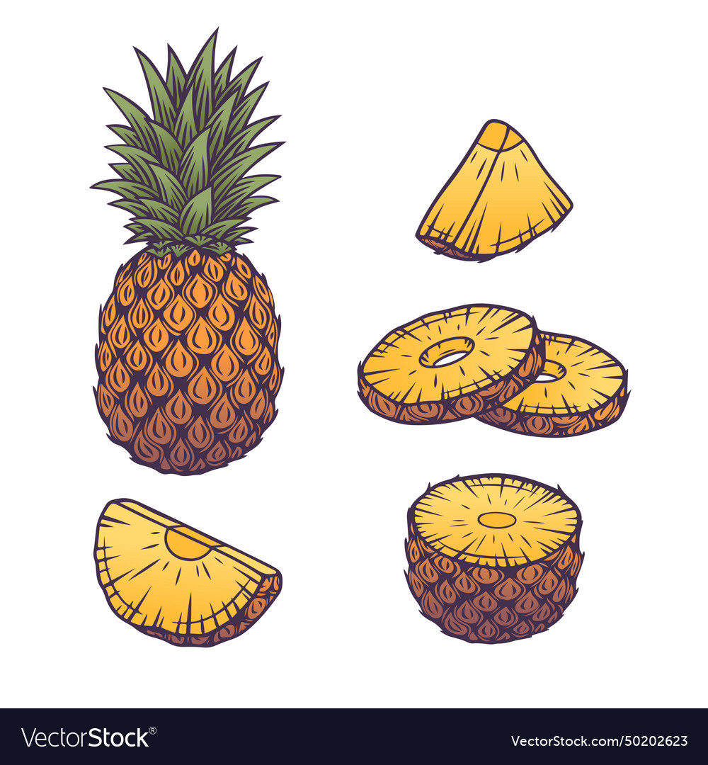 Pineapples set Royalty Free Vector Image - VectorStock