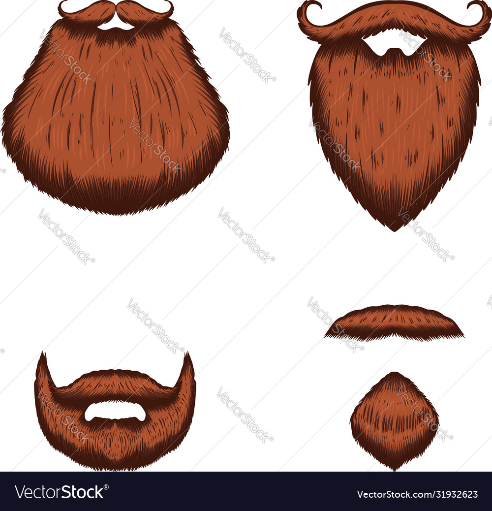 Set beard in engraving style on white vector image Set beard in engraving style on white