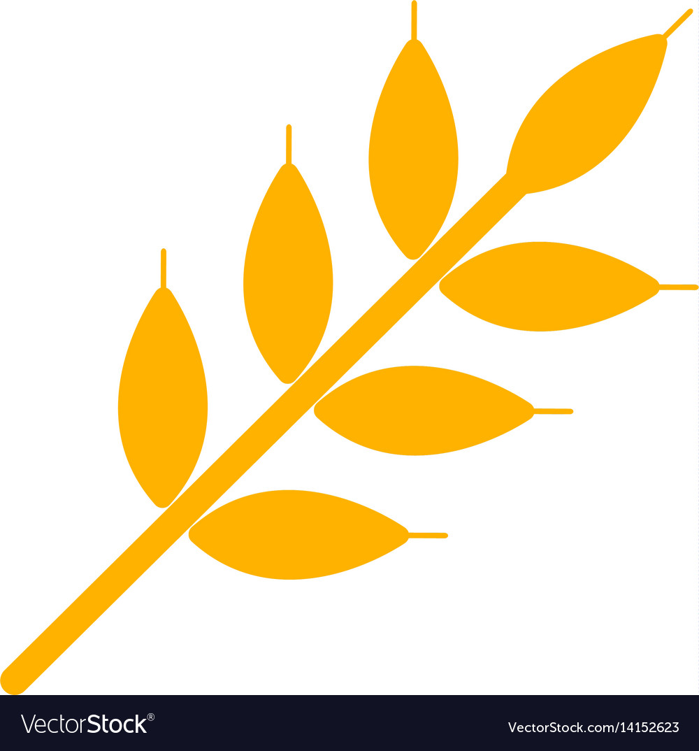 Wheat Royalty Free Vector Image - VectorStock