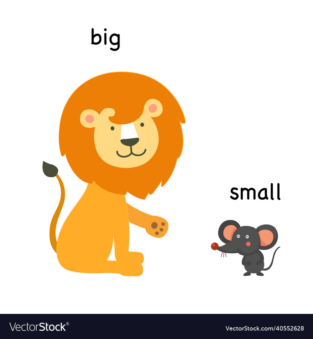 https://cdn4.vectorstock.com/i/1000x1000/26/28/opposite-big-and-small-vector-40552628.jpg