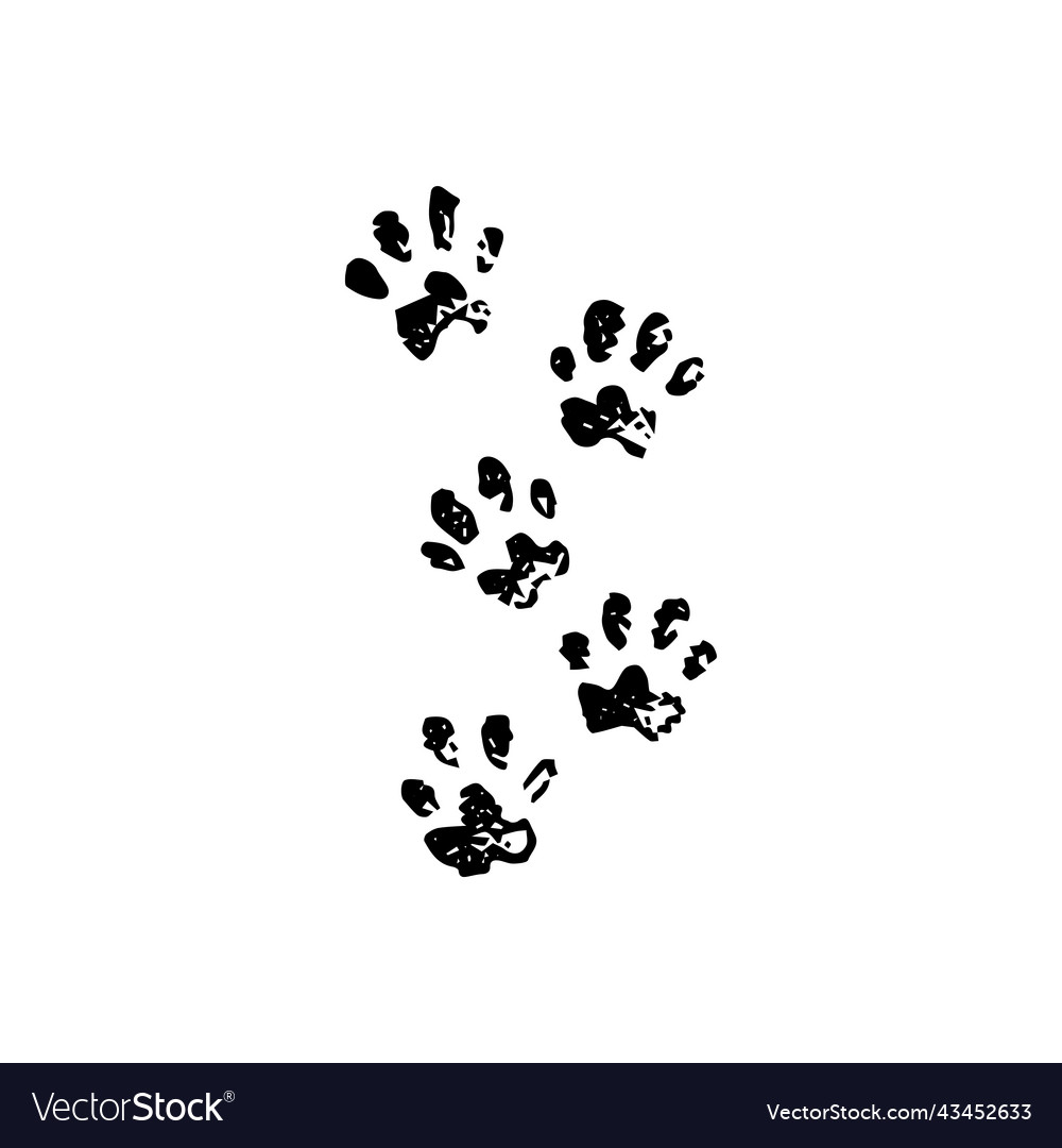 Animal tracks black dotwork Royalty Free Vector Image