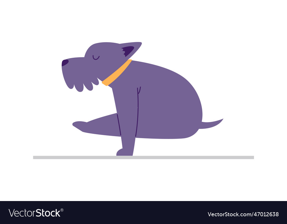 Dog doing yoga Royalty Free Vector Image - VectorStock