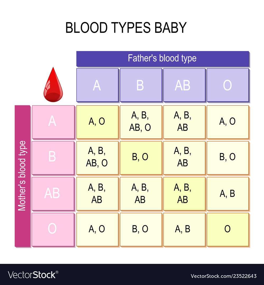 blood-types-baby-chart-royalty-free-vector-image