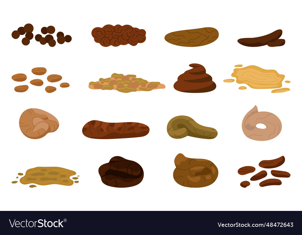 Poop elements isolated dog or human poops Vector Image