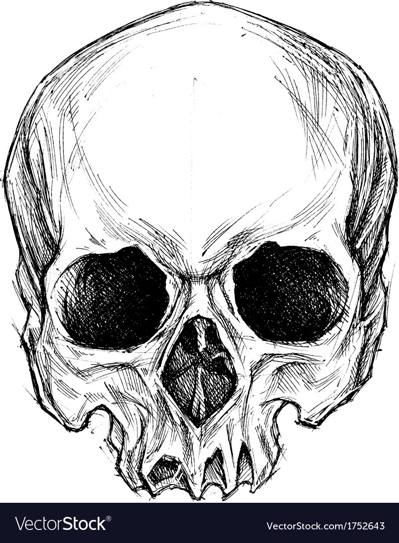 sketch a make pen VectorStock Free Image Drawing Skull  Vector Royalty