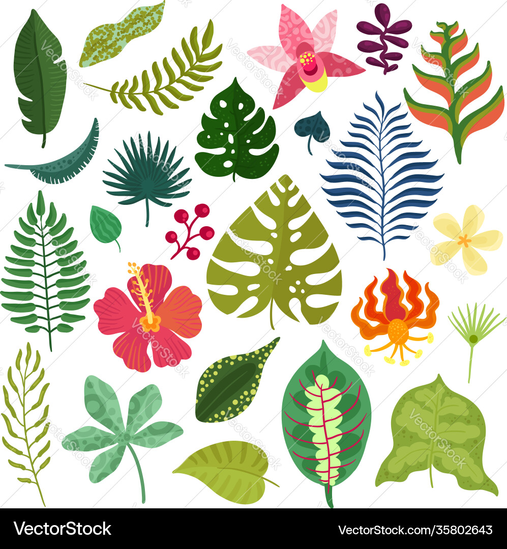 Tropical plants elements set Royalty Free Vector Image