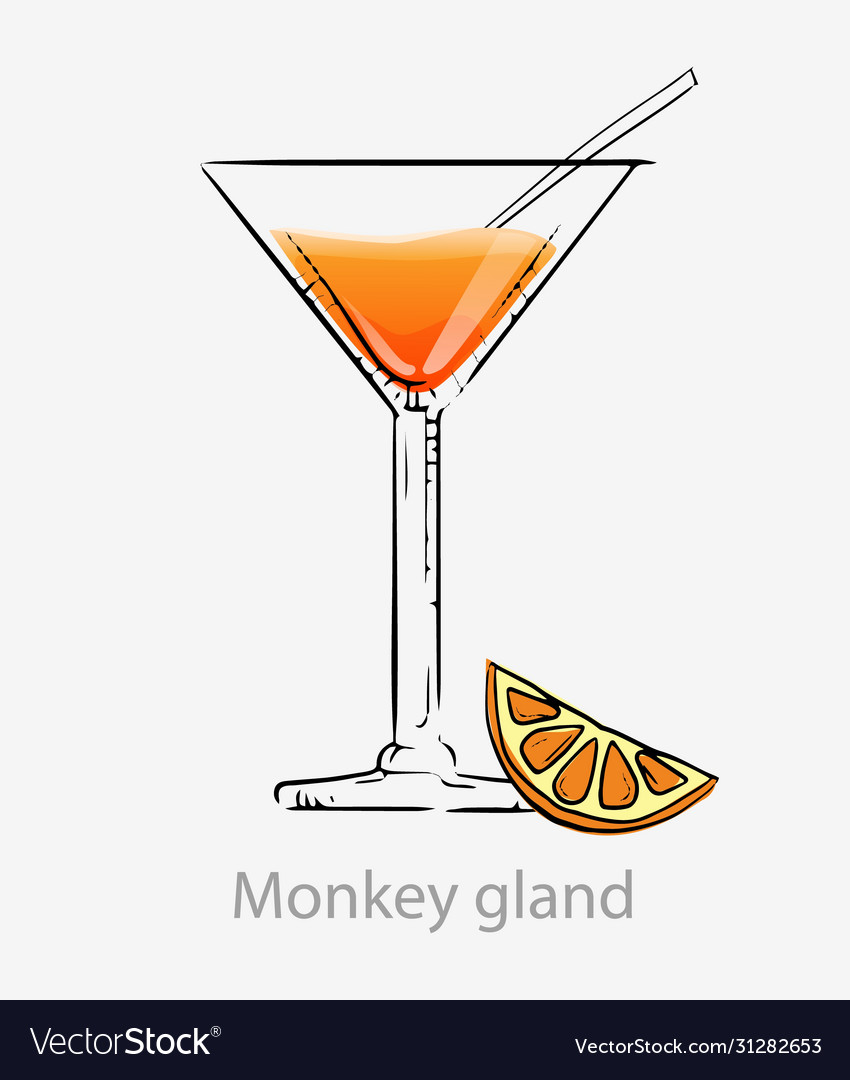 Cocktail gland monkey orange Royalty Free Vector Image