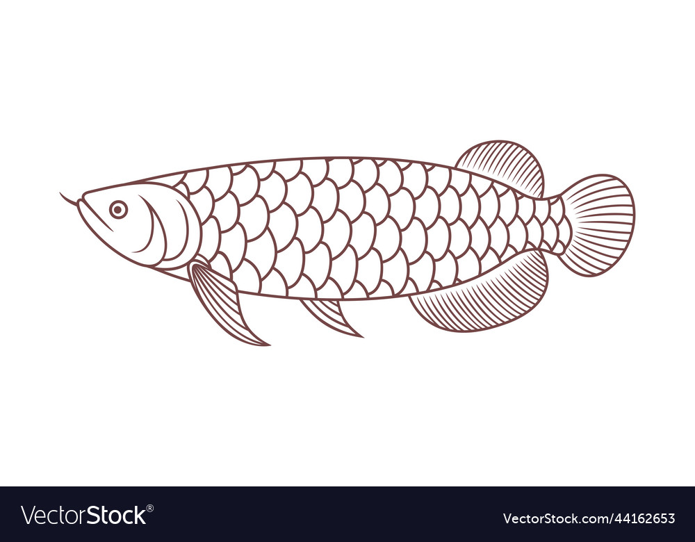 Dragon fish Royalty Free Vector Image - VectorStock