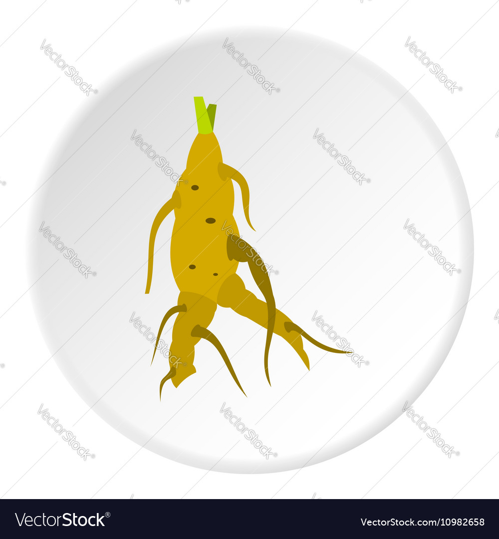 Ginseng icon flat style Royalty Free Vector Image