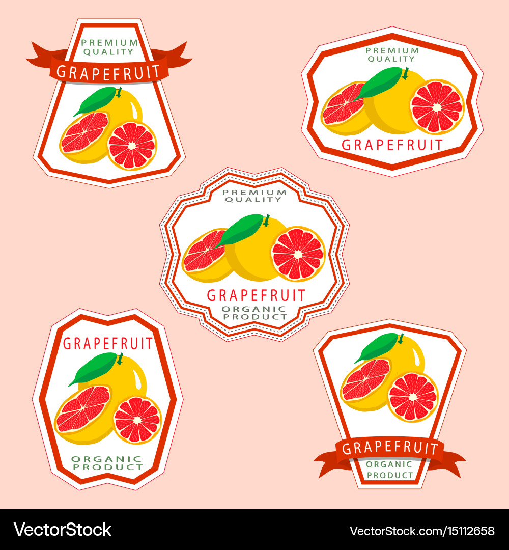 Grapefruit Royalty Free Vector Image - VectorStock