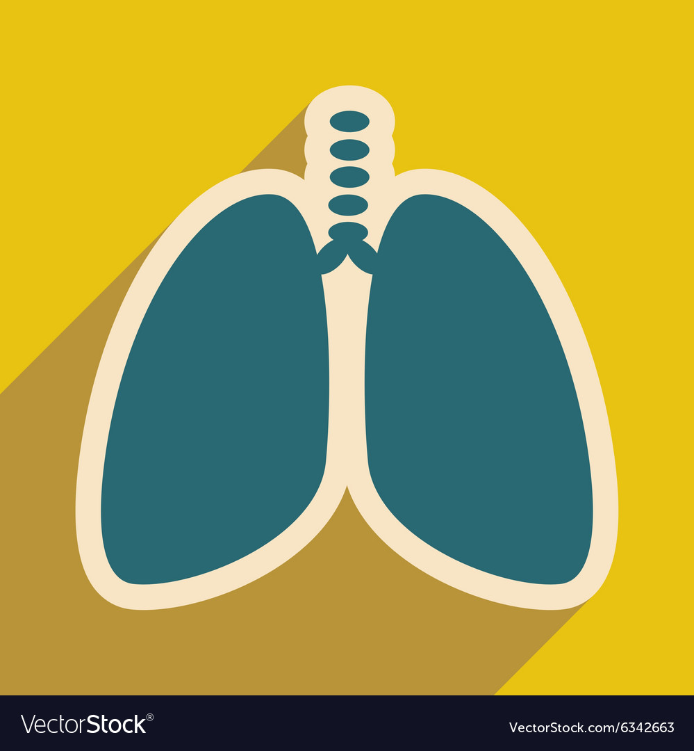 Icon of human lungs in flat style Royalty Free Vector Image