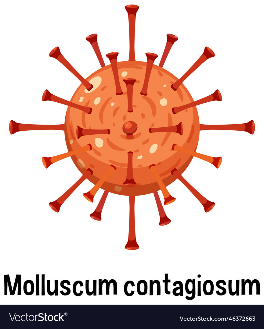 Molluscum contagiosum with text Royalty Free Vector Image