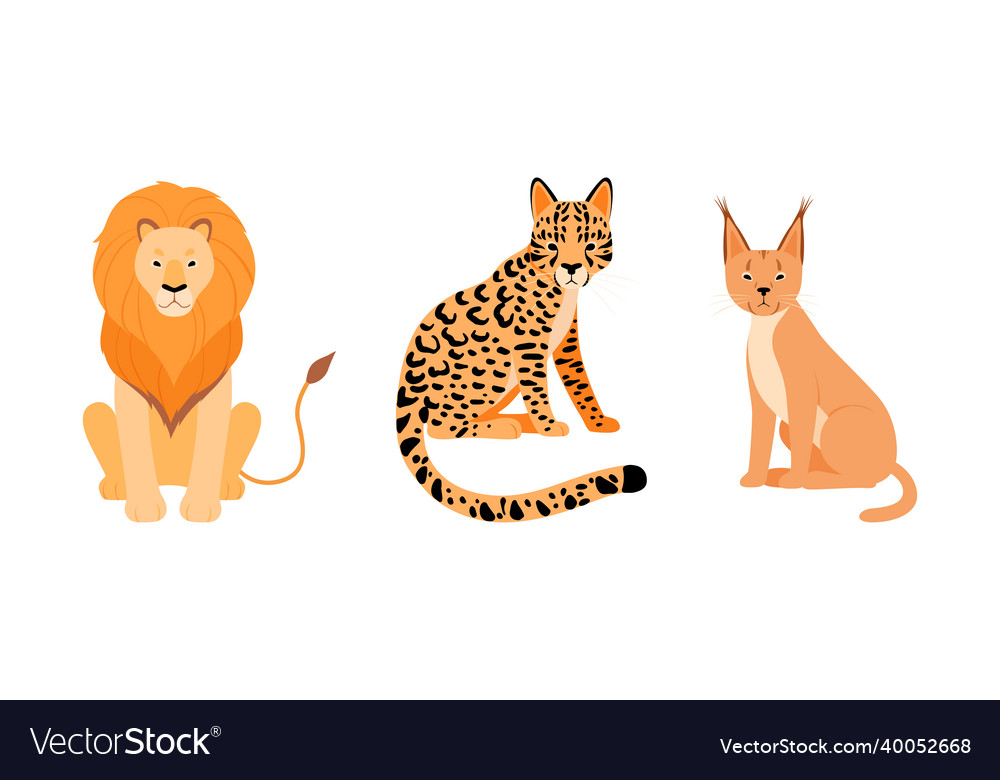 Felid or wild cat as carnivore animal with lion