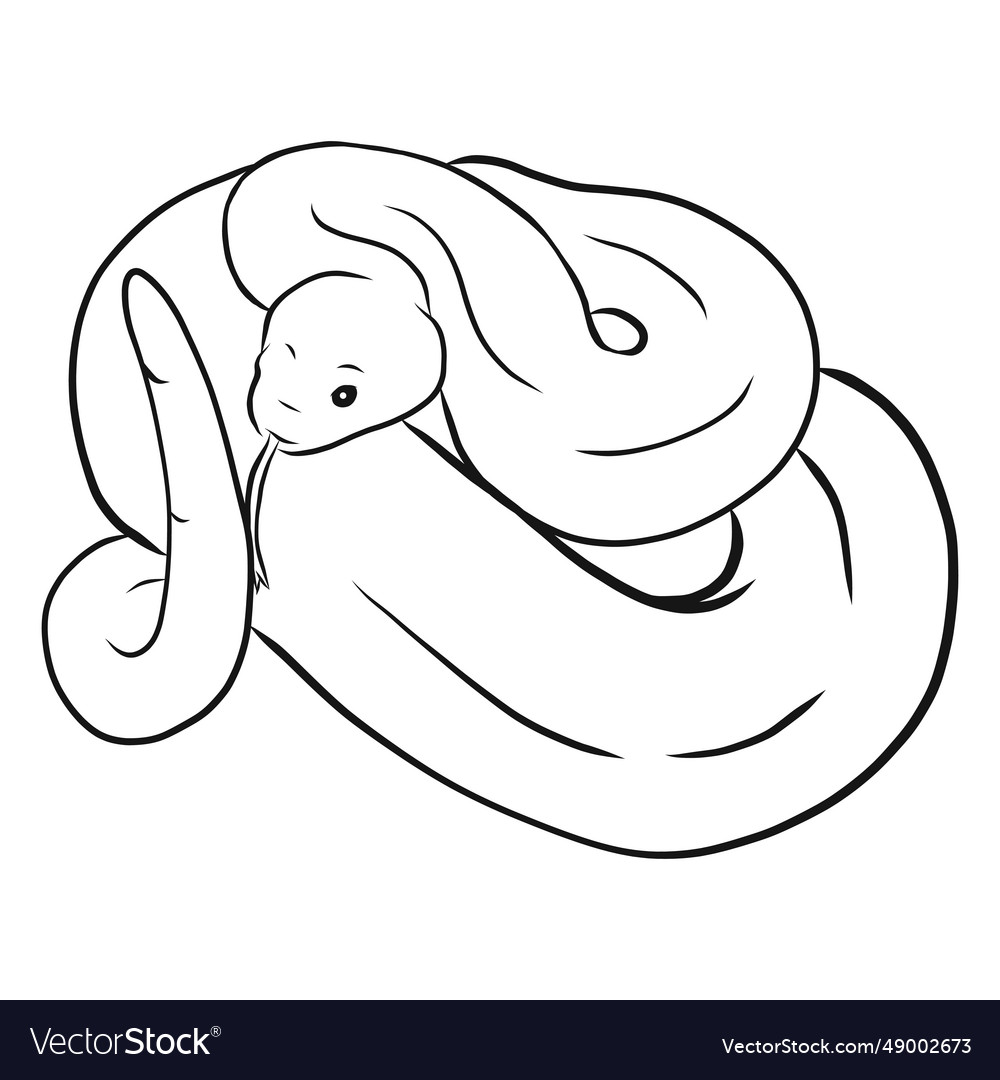 Snake twisting tail tongue sketch Royalty Free Vector Image