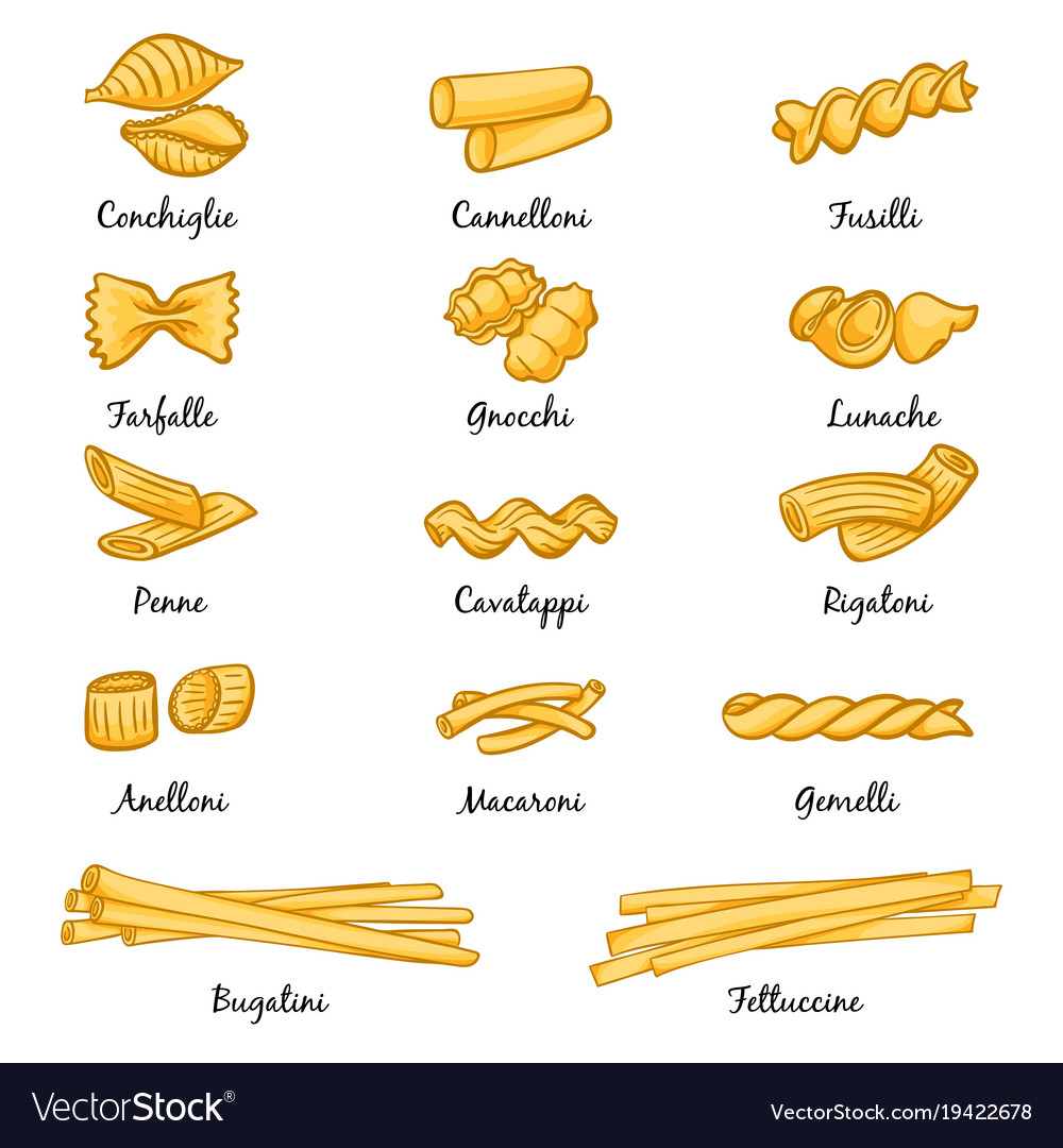 Premium Vector  Types of pasta long pasta difference illustration example