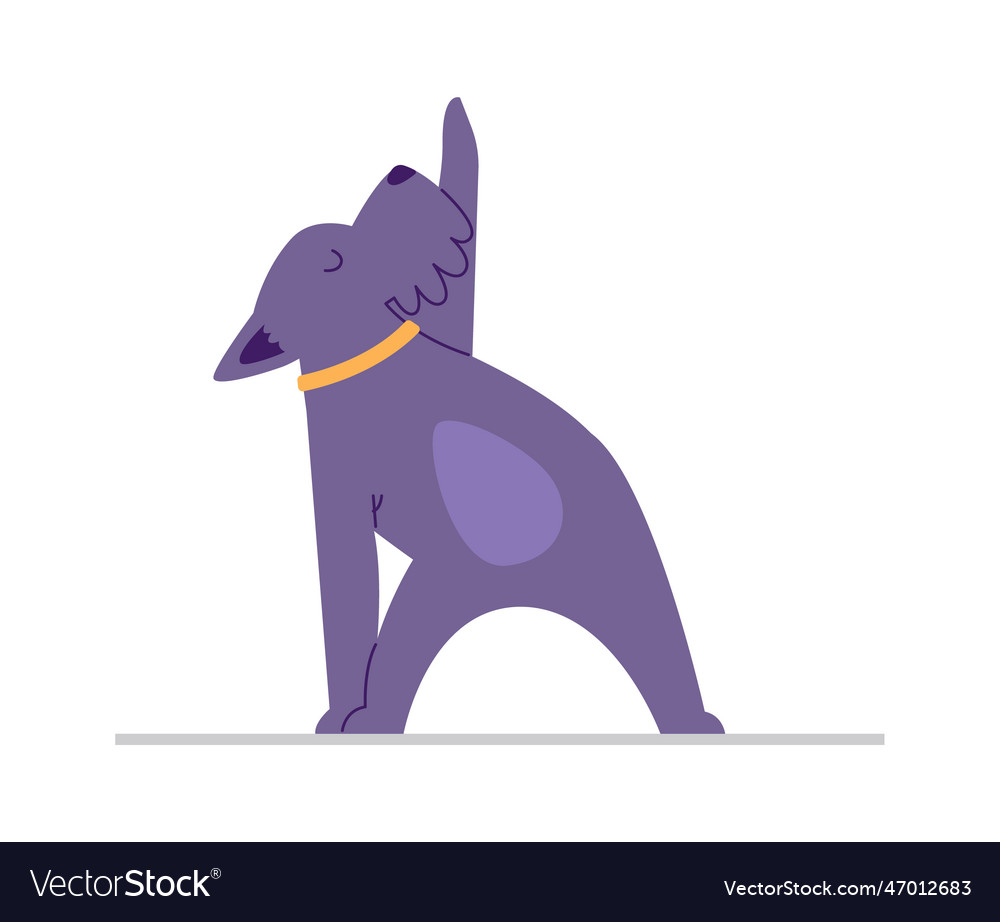 Dog doing yoga Royalty Free Vector Image - VectorStock