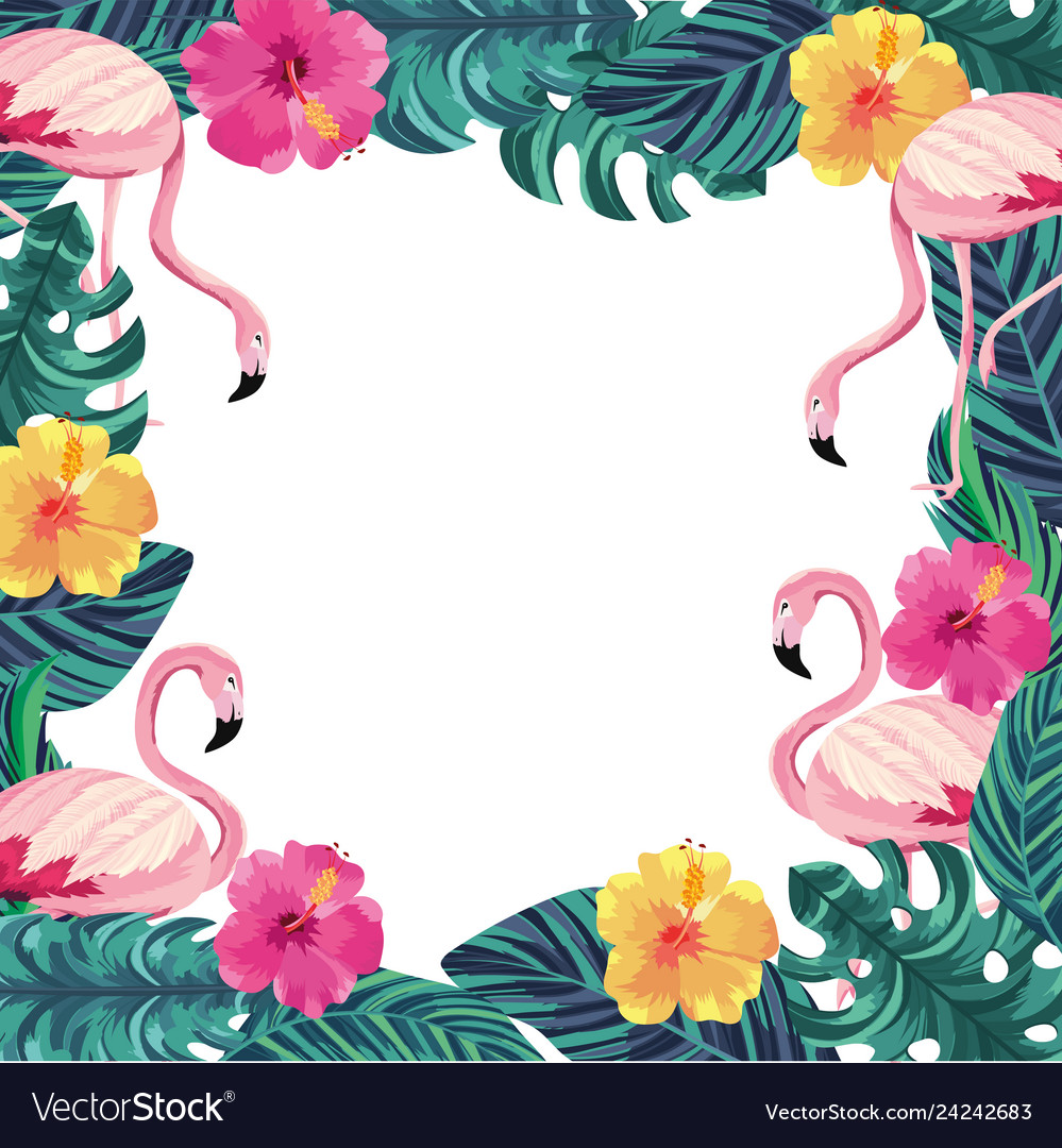 Exotic flowers with flamingos animals and leaves Vector Image