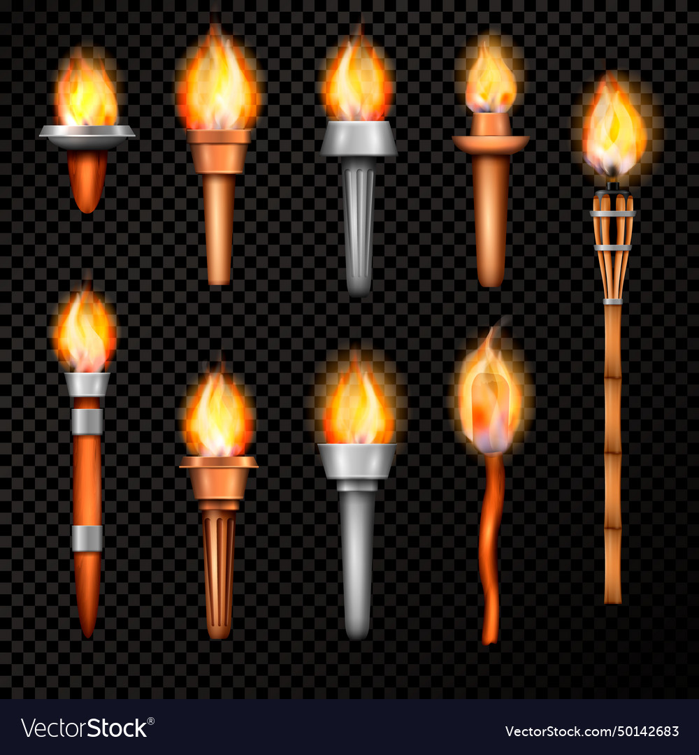 Fire torch realistic set Royalty Free Vector Image