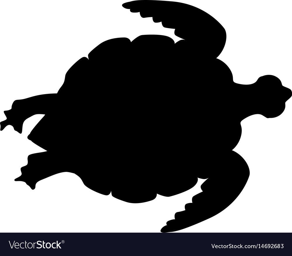 Sea turtle Royalty Free Vector Image - VectorStock