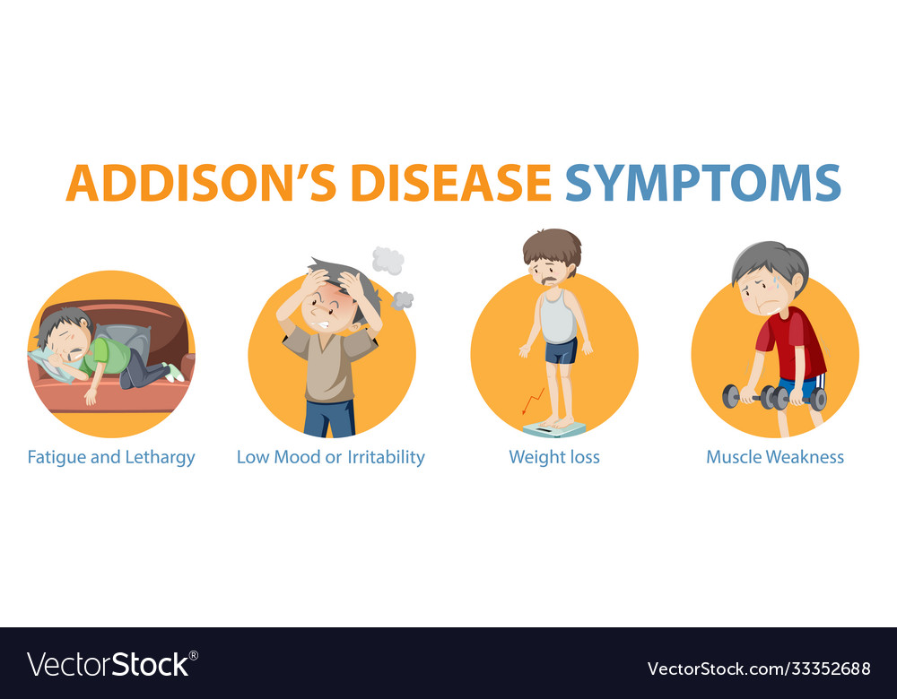 Medical infographic addisons disease symptoms Vector Image