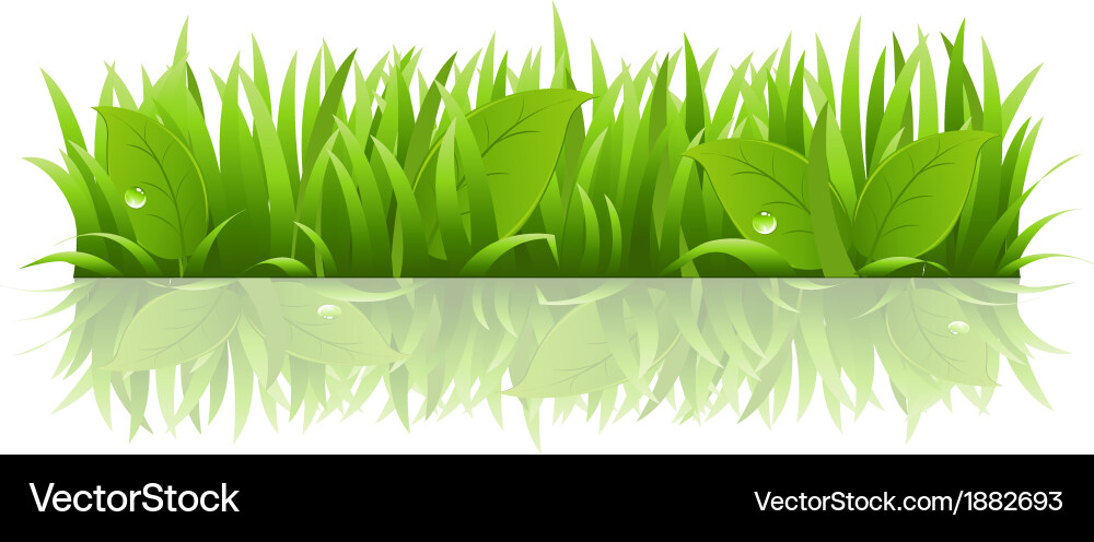 Grass and leafs Royalty Free Vector Image - VectorStock
