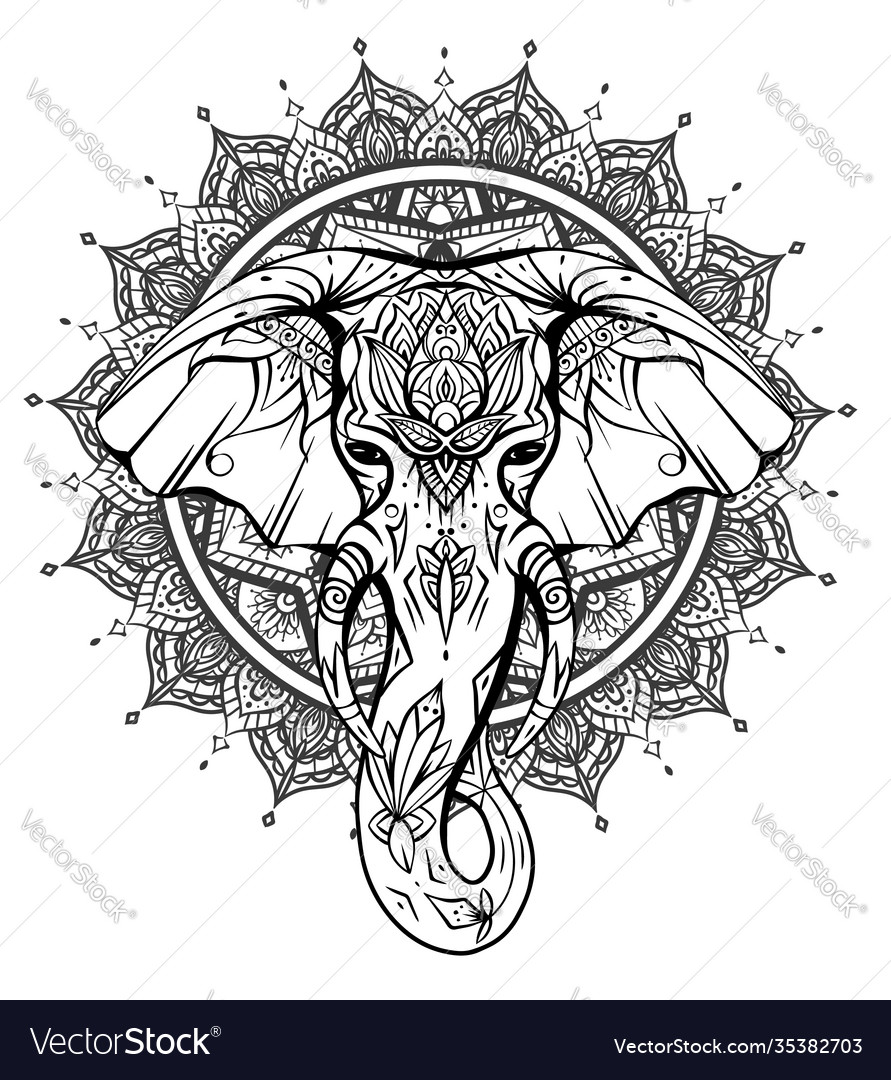 Contour native elephant head with trunk tusks and Vector Image