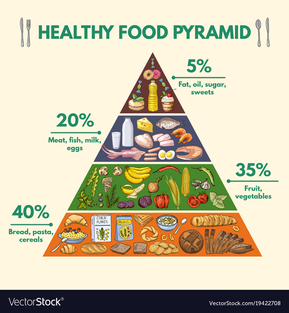 New Food Pyramid 2024 Hinda Kissie