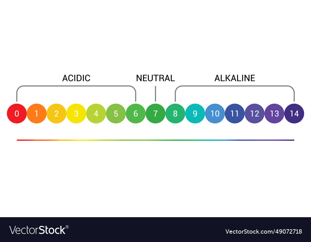 Ph scale indicator chart diagram acidic alkaline Vector Image