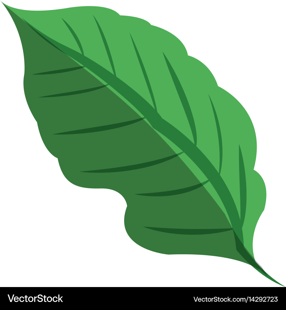 Green leaf icon Royalty Free Vector Image - VectorStock