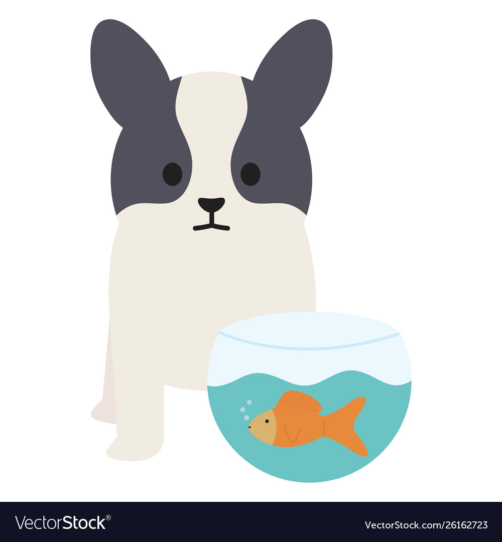 Little dog adorable with fish in aquarium