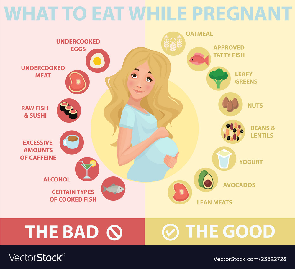 Pregnant Woman Diet Infographic A Food Guide Vector Image