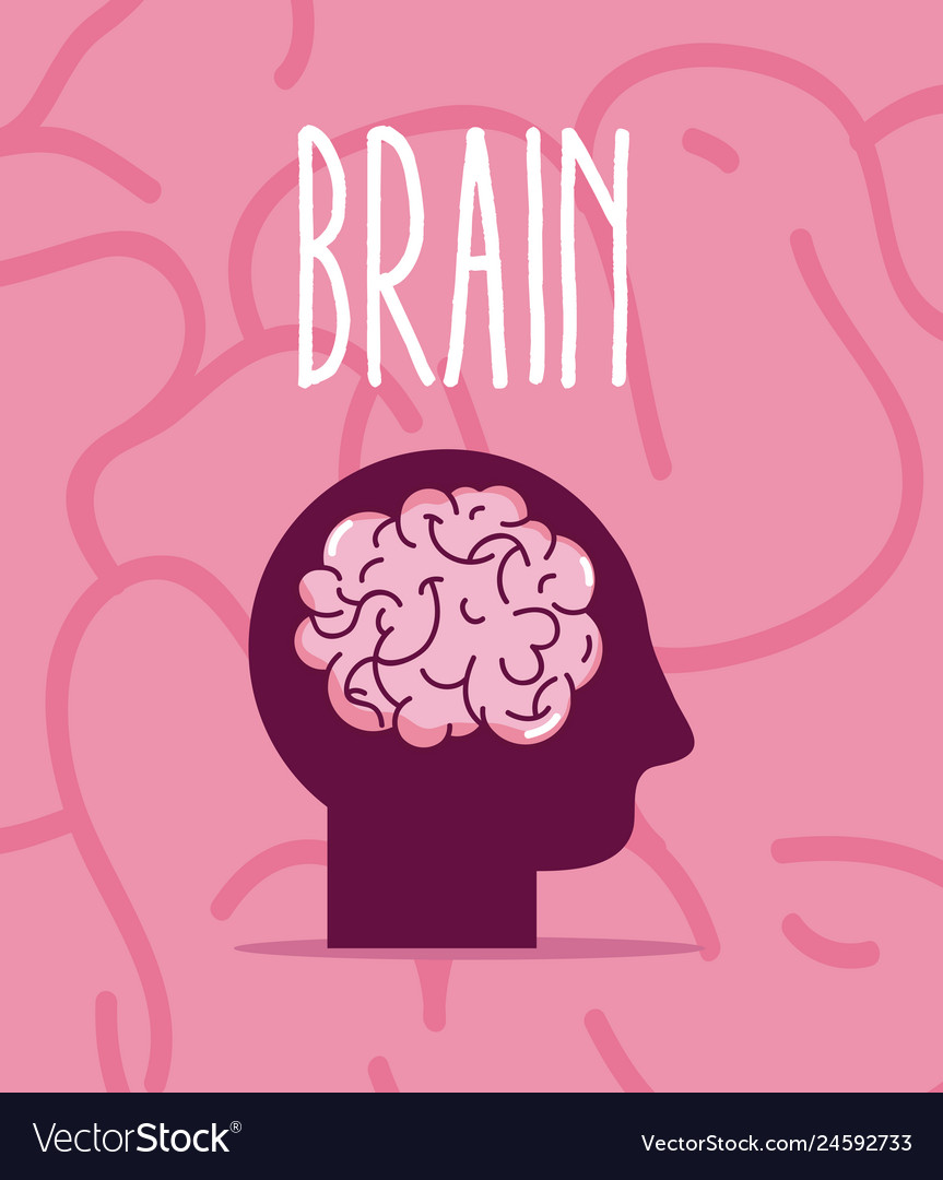 Brain and intelligence concept Royalty Free Vector Image