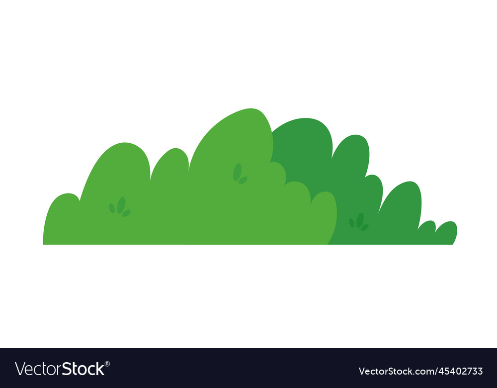 Natural green grass bushes decorate environmental Vector Image