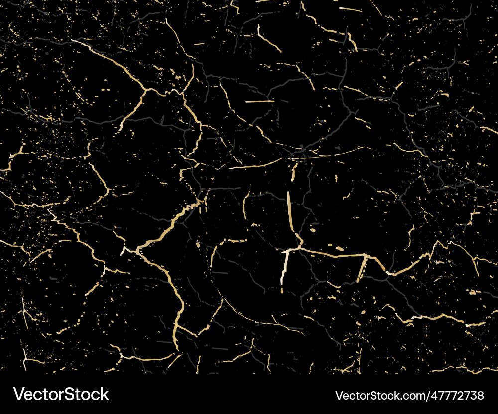 Luxury black and gold marble texture background Vector Image