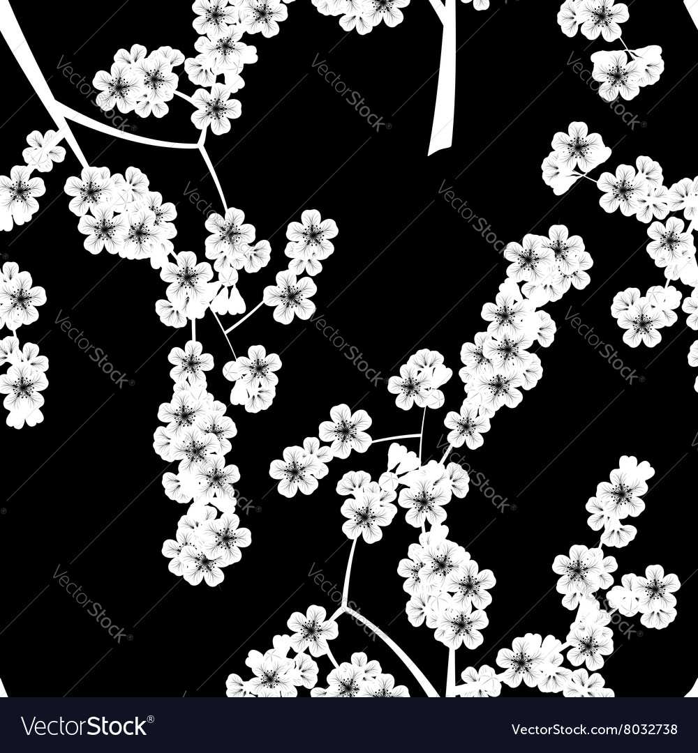 Seamless pattern with black cherry flowers Vector Image