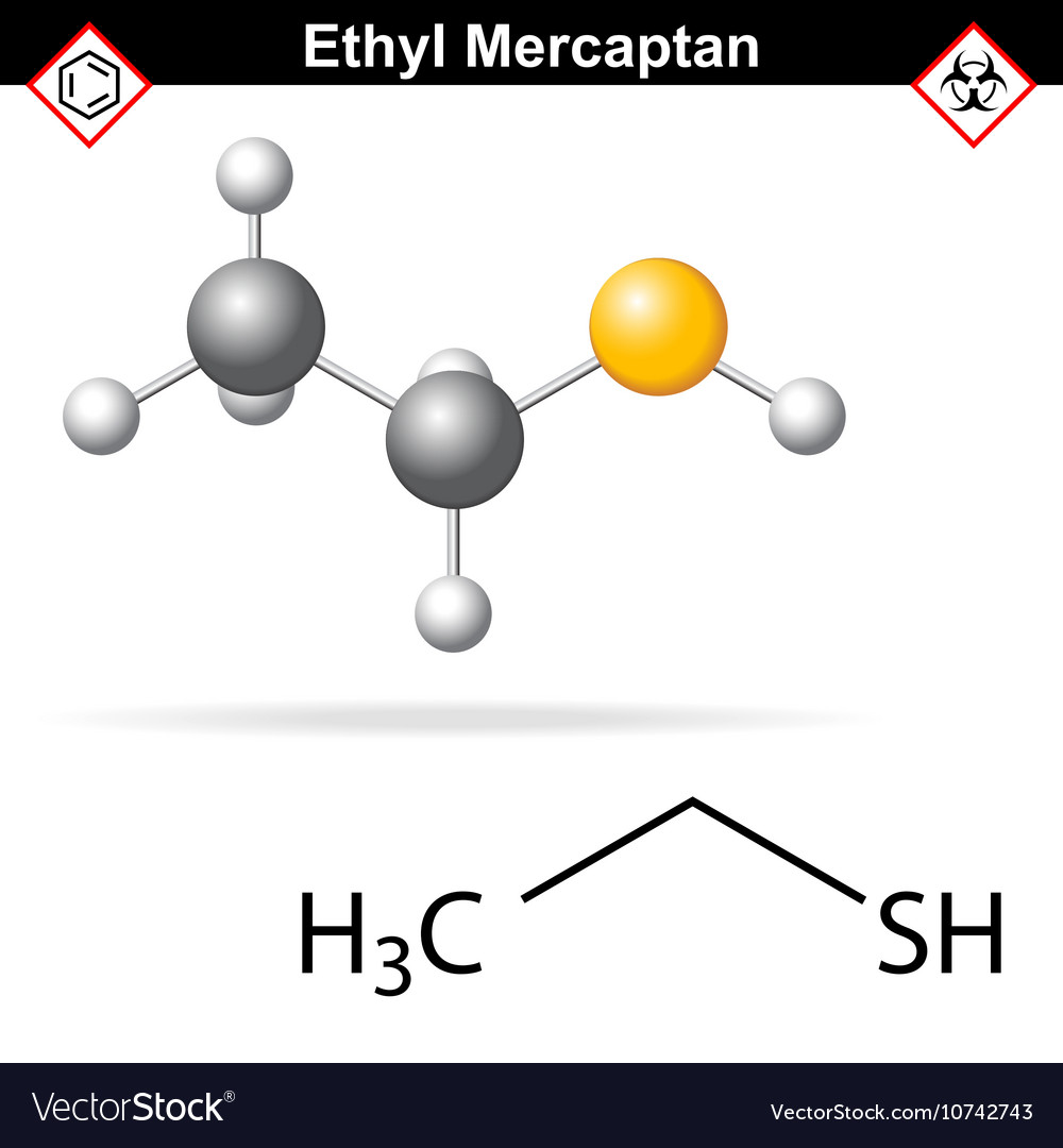 Ethyl mercaptan chemical structure Royalty Free Vector Image