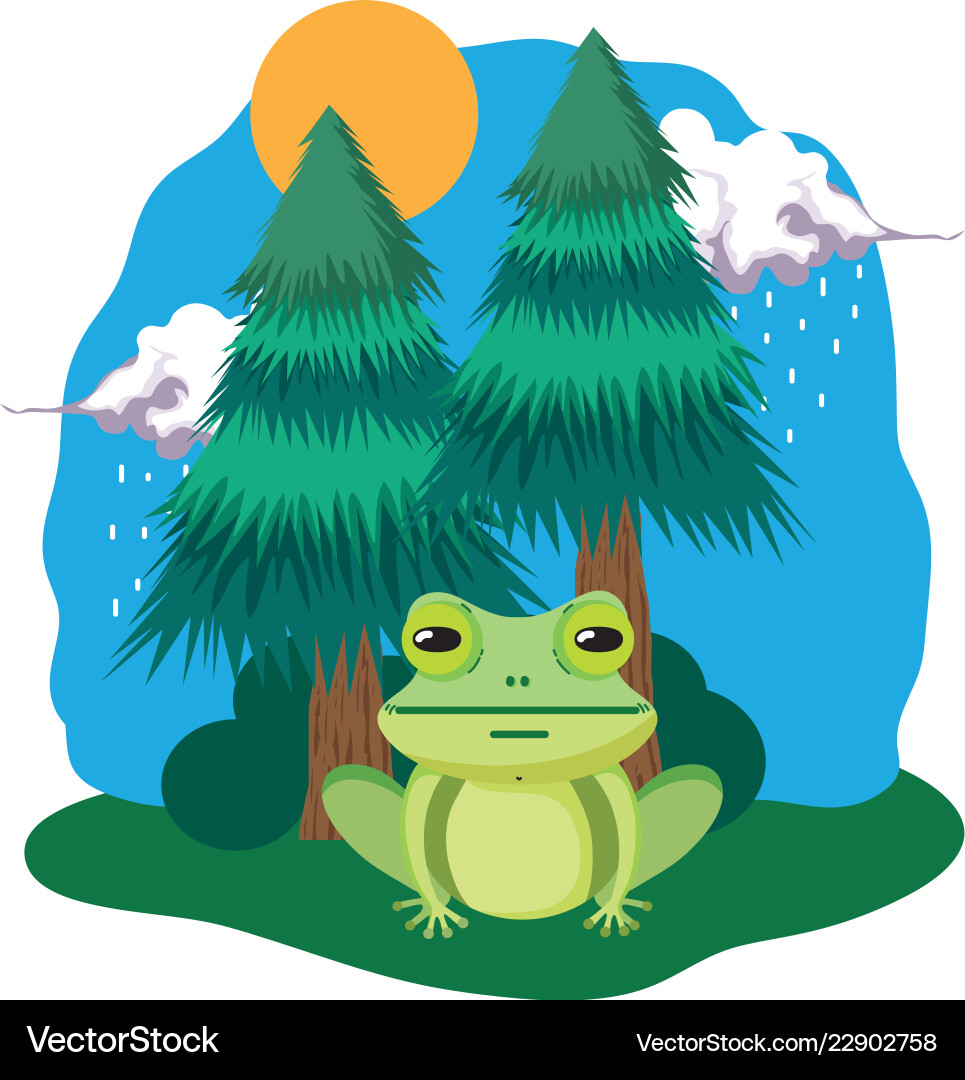 Cute toad in the landscape Royalty Free Vector Image