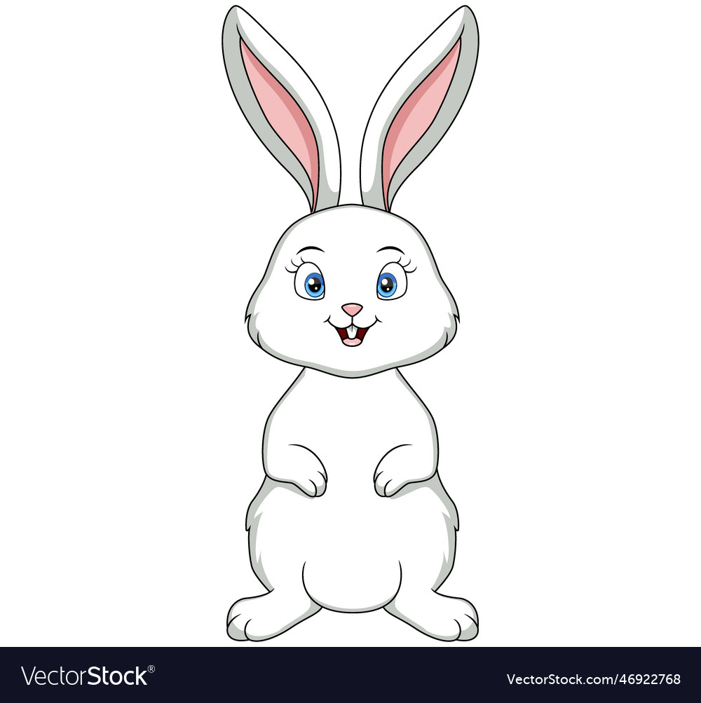 Cute white bunny cartoon on white background Vector Image