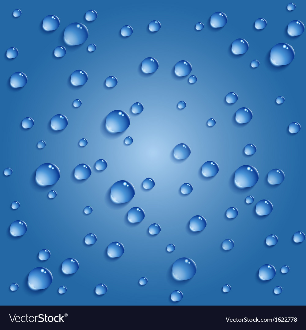 Water drops Royalty Free Vector Image - VectorStock