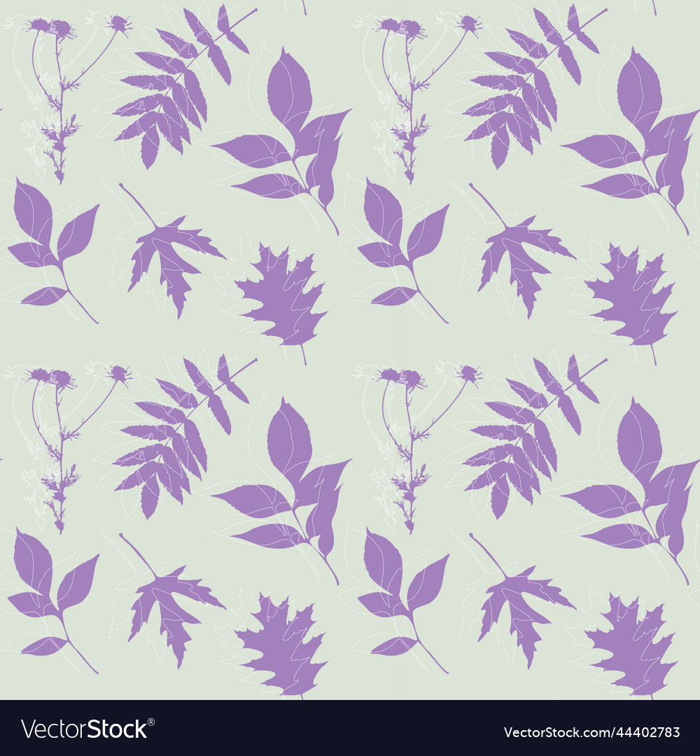 Camomile and leaves silhouette violet pastel